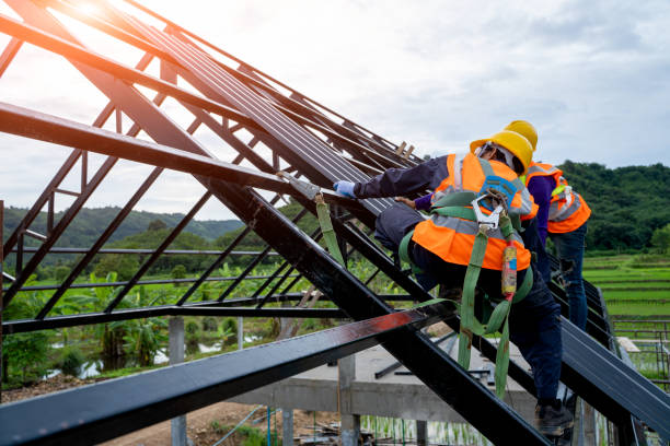 Best Flat Roof Repair Services  in Clton, IN