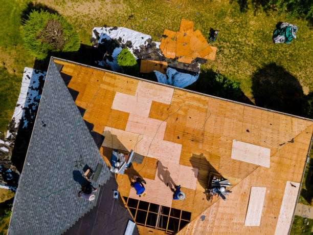 Best Tile Roofing Contractor  in Clton, IN