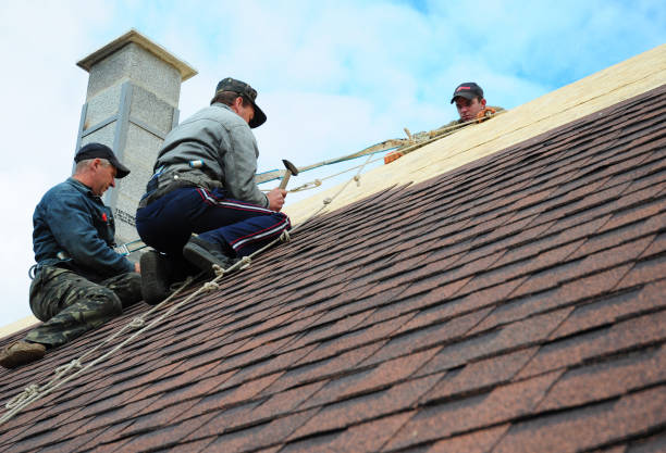 Best Flat Roof Repair Services  in Clton, IN