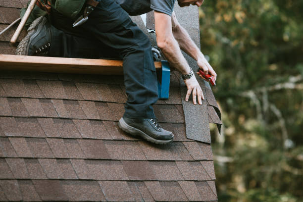 Best Roof Maintenance Services  in Clton, IN